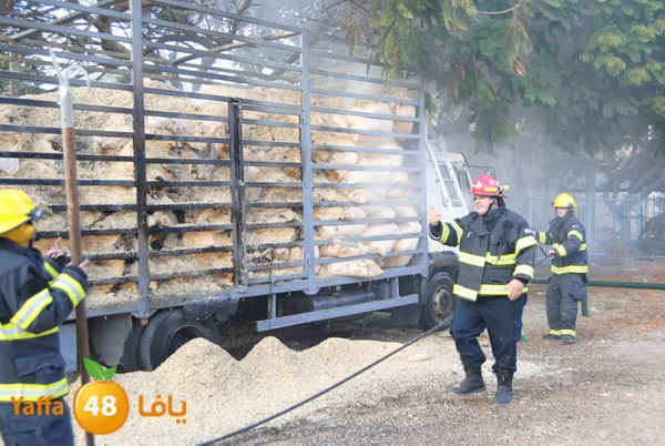 fire truck 804 (6).JPG